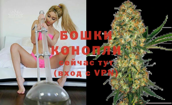 сатива Балабаново