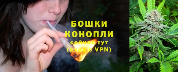 сатива Балабаново
